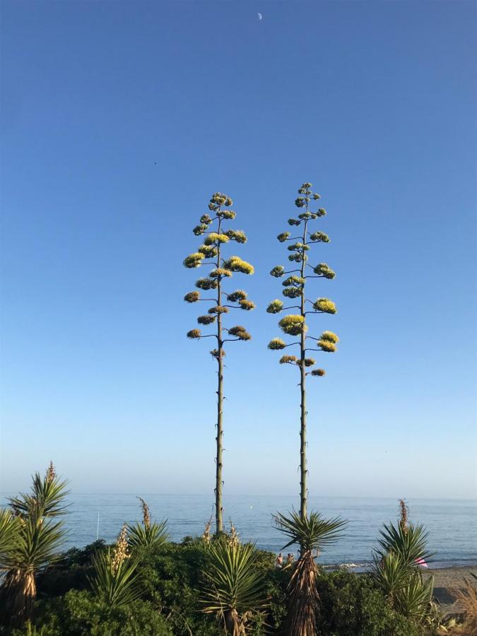 Marbella - Estepona Beach Frontline Apartment Bagian luar foto